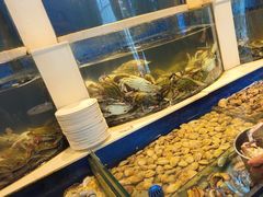 -海天盛宴新派海鲜自助餐厅(群力店)