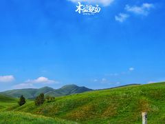 -木兰围场