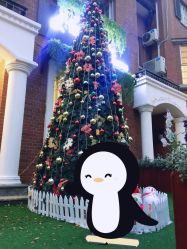 -新蝶变皮肤管理中心