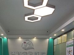-博特宠物医院24h犬猫全科.骨科·异宠