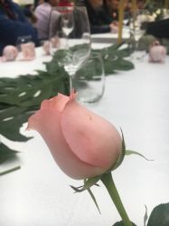 -荔枝屋婚礼堂
