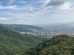 -神户市立六甲山牧场