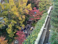 -三鹰之森吉卜力美术馆