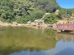 -北京西山国家森林公园