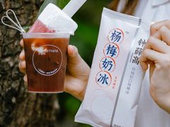 -钟薛高(南头古城店)