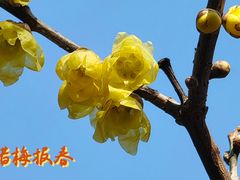 -月坛公园