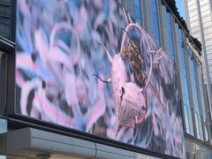 -深圳湾万象城(南山店)