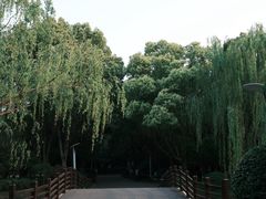 -桐乡植物园