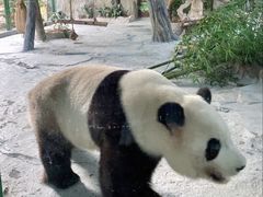 -灵玲国际马戏城