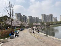 -新江湾城公园