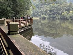 -青城山