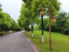-洋湖国家湿地公园
