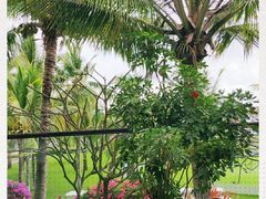 -海南鉴湖蓝湾高尔夫球会