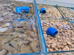 -北塘海鲜·天津菜(大光明桥旗舰店)