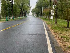 -漕湖湿地公园