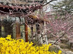 -济南国际园博园