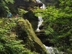 -碧峰峡风景区