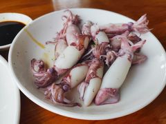 白灼鲜鱿-南蚝小贝海鲜特色餐厅(南澳岛店)