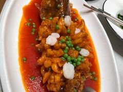 松鼠大桂鱼-泓历皇朝酒店(东亭店)