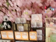 -小吊梨汤·北京菜·烤鸭(西直门凯德店)