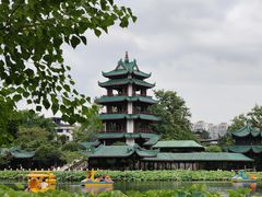 -桂湖森林公园