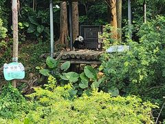 -广州长隆野生动物世界