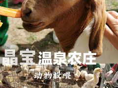 -晶宝温泉农庄