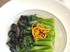 泉水木耳浸有机菜心-广州文华东方酒店·江-由辉师傅主理