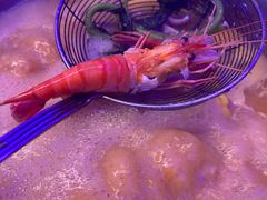 -琥珀川糟粕醋火锅(慈云寺店)