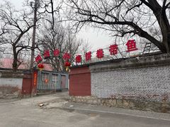 -闻道食府烙饼卷带鱼(原车耳营店原大觉寺店)