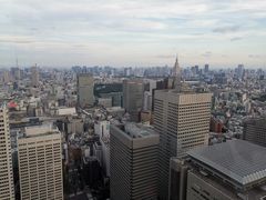 -东京都厅舍