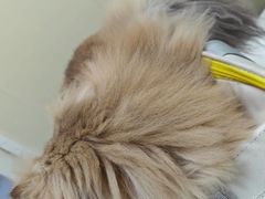 -纳吉亚猫专科动物医院博雅分院