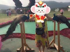 -亚龙湾国际玫瑰谷