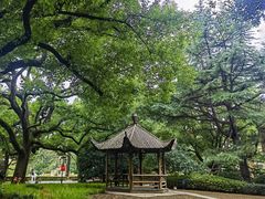 -上海兴国宾馆香樟园西餐厅