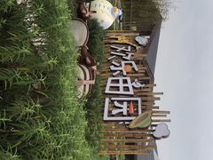 -黄龙溪欢乐田园