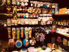 零售区-百好乐宠物友好餐厅(朝外大街店)