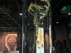 -广东中医药博物馆