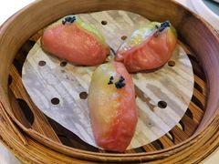 -点都德·毕德寮