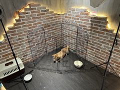 -呼吸沉浸式剧场(甘露园店)