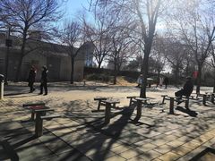 -朝阳公园游乐园