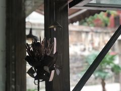 -小食院简餐厅