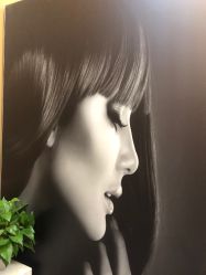 点击看大图 -尚·丹尼Hair