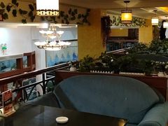 -OLD TREE老树咖啡·西餐厅(台山人工湖店)