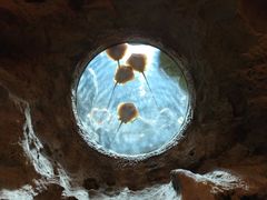 -珠海长隆海洋王国