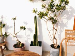-AHAVA·Fang Baking Studio