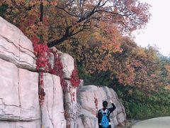 -鬼笑石后山停车场
