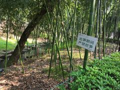 -兰亭风景区