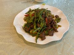 -圣厨牛腩(青春岛社区玉寿苑店)