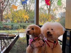 -西安浐灞艾美酒店·汉江餐厅·火锅