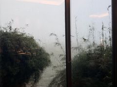-湖滨客舍·湖北菜